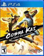 Cobra Kai: The Karate Kid Saga Continues Playstation 4