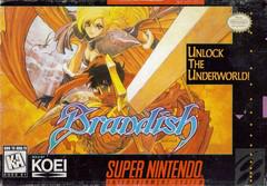 Brandish Super Nintendo