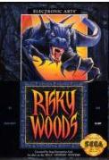 Risky Woods Sega Genesis