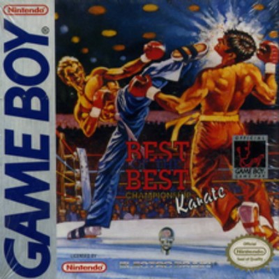 Best of the Best: Championship Karate Game Boy