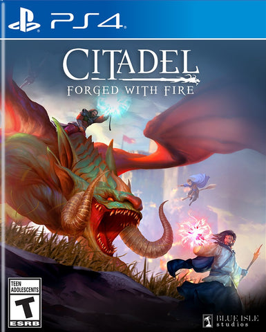 Citadel: Forged with Fire Playstation 4