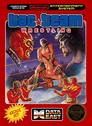 Tag Team Wrestling Nintendo Entertainment System